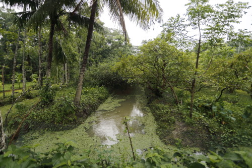 The trenches (baar) such as the one in the picture, can be seen adjoining almost every other home, amidst the picturesque greenery.