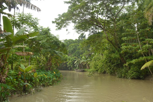 The beautiful greenery on either side of the canals provide a serene and calming experience.