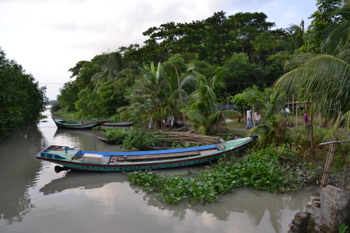 Mechanised boats such as the one shown in the picture bring in saplings and other goods to the haat every week.