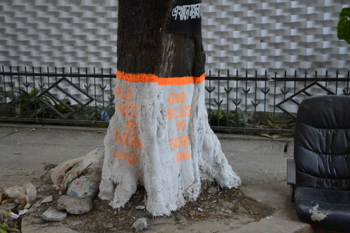 The mysterious markings on the recently painted trees in the area